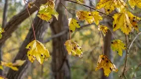 Jesienny Kętrzyn, październik 2022 - zdjęcie 42