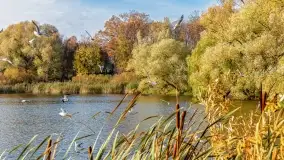 Jesienny Kętrzyn, październik 2022 - zdjęcie 26