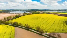 Rzepakowe pola, przypominamy żółty kolor Mazur - zdjęcie 30