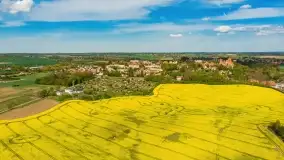 Rzepakowe pola, przypominamy żółty kolor Mazur - zdjęcie 43