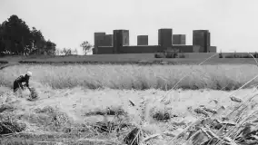 Cień Historii - Olsztynek (niem. Hohenstein) - zdjęcie 99