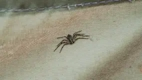 Mazurski biwak, w listopadzie, poznaj mobilne biuro Mazury24 - zdjęcie 11