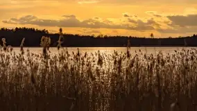 Mazurski zachód słońca, luty 2020 - zdjęcie 22