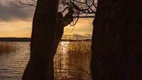 Mazurski zachód słońca, luty 2020 - zdjęcie 25