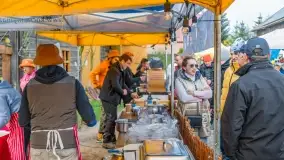 Fotorelacja - I Redyk Mazurski, Sołdany 2022 - zdjęcie 14