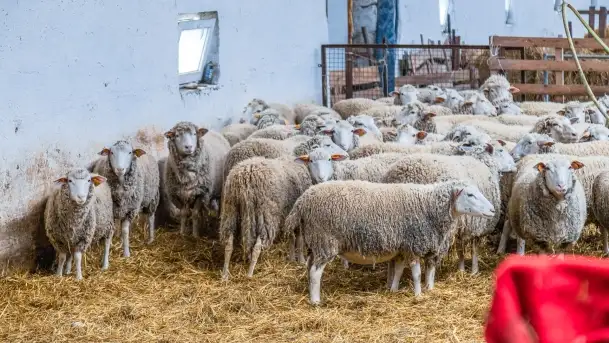 Fotorelacja - I Redyk Mazurski, Sołdany 2022 - zdjęcie 2
