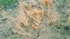 Końcówka zimy 2021, zdjęcia z drona - zdjęcie 27