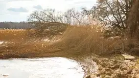 Przedwiośnie na mazurskich polach i łąkach, marzec 2021 - zdjęcie 3