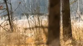 Przedwiośnie na mazurskich polach i łąkach, marzec 2021 - zdjęcie 68