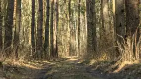 Przedwiośnie na mazurskich polach i łąkach, marzec 2021 - zdjęcie 60