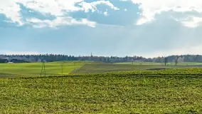 Przedwiośnie na mazurskich polach i łąkach, marzec 2021 - zdjęcie 11