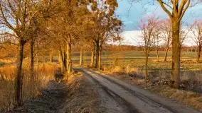 Przedwiośnie na mazurskich polach i łąkach, marzec 2021 - zdjęcie 56