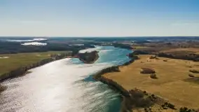 Początki wiosny 2022, leśne krajobrazy - zdjęcie 12