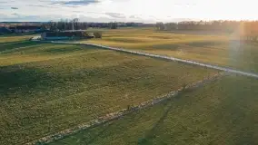 Początki wiosny 2022, leśne krajobrazy - zdjęcie 16