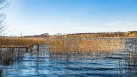 Początki wiosny 2022, leśne krajobrazy - zdjęcie 1