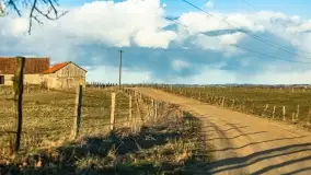 Początki wiosny 2022, leśne krajobrazy - zdjęcie 42