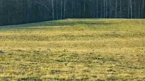 Początki wiosny 2022, leśne krajobrazy - zdjęcie 48