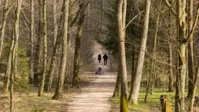 Początki wiosny 2022, leśne krajobrazy - zdjęcie 20