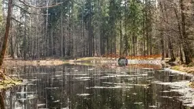 Początki wiosny 2022, leśne krajobrazy - zdjęcie 41