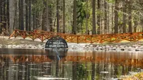 Początki wiosny 2022, leśne krajobrazy - zdjęcie 31