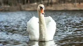 Początki wiosny 2022, leśne krajobrazy - zdjęcie 58