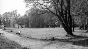 Cień historii, czasy PRL (1945-1989) - Giżycko - zdjęcie 133