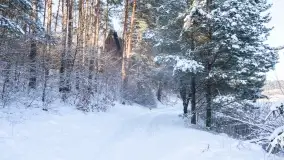 Zimowe okolice Szczytna na zdjęciach Marty Sotnik - zdjęcie 16