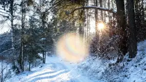 Zimowe okolice Szczytna na zdjęciach Marty Sotnik - zdjęcie 14
