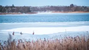 Zimowe okolice Szczytna na zdjęciach Marty Sotnik - zdjęcie 9