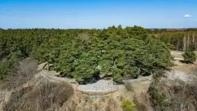 Cmentarz wojenny Jagerhohe i jezioro Święcajty na początku wiosny, 2022 - zdjęcie 1