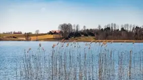 Cmentarz wojenny Jagerhohe i jezioro Święcajty na początku wiosny, 2022 - zdjęcie 5