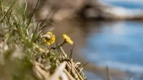 Cmentarz wojenny Jagerhohe i jezioro Święcajty na początku wiosny, 2022 - zdjęcie 12