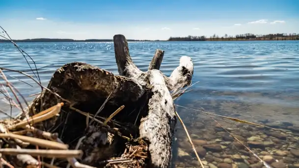 Cmentarz wojenny Jagerhohe i jezioro Święcajty na początku wiosny, 2022 - zdjęcie 7