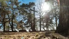 Cmentarz wojenny Jagerhohe i jezioro Święcajty na początku wiosny, 2022 - zdjęcie 53