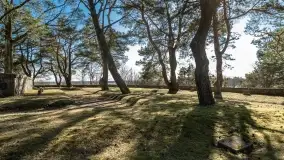 Cmentarz wojenny Jagerhohe i jezioro Święcajty na początku wiosny, 2022 - zdjęcie 36