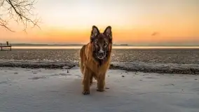 Grudniowy zachód słońca nad jeziorem Dargin, Nowy Harsz - zdjęcie 22