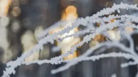 Bajkowe i zimowe klimaty nad jeziorem Dargin, grudzień 2022 - zdjęcie 24