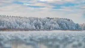 Bajkowe i zimowe klimaty nad jeziorem Dargin, grudzień 2022 - zdjęcie 2