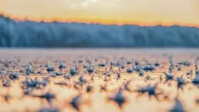 Bajkowe i zimowe klimaty nad jeziorem Dargin, grudzień 2022 - zdjęcie 69