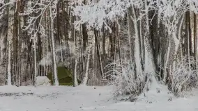Bajkowe klimaty z zameldowaniem na łonie natury - zdjęcie 18