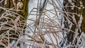 Bajkowe klimaty z zameldowaniem na łonie natury - zdjęcie 35