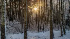 Bajkowe klimaty z zameldowaniem na łonie natury - zdjęcie 8