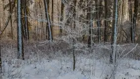 Bajkowe klimaty z zameldowaniem na łonie natury - zdjęcie 23