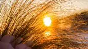 Zimowy wschód słońca w PTTK Wilkasy nad jeziorem Niegocin - zdjęcie 13