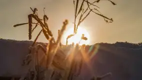 Zima nad Darginem w Zdorkowie w Harszu - zdjęcie 32