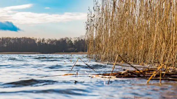 Zima już bez śniegu w Trygorcie, końcówka 2022 roku - zdjęcie 7