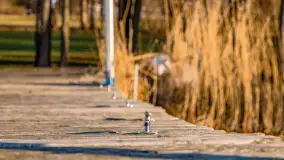 Zima już bez śniegu w Trygorcie, końcówka 2022 roku - zdjęcie 29