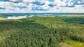 Letnie Mazury z drona, sezon 2022 - zdjęcie 42