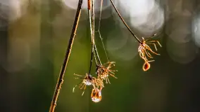 Styczniowy spacer po lesie w okolicach Rucianego-Nidy - zdjęcie 18