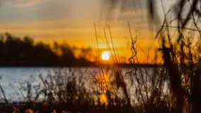 Wschód słońca nad jeziorem Śniardwy, Krzywy Róg - zdjęcie 37